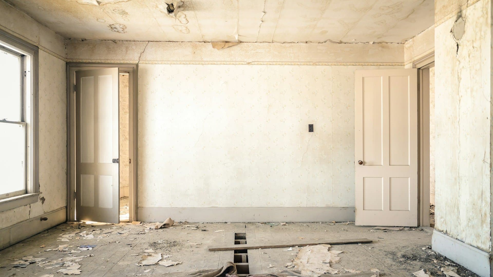 Interior Demolition